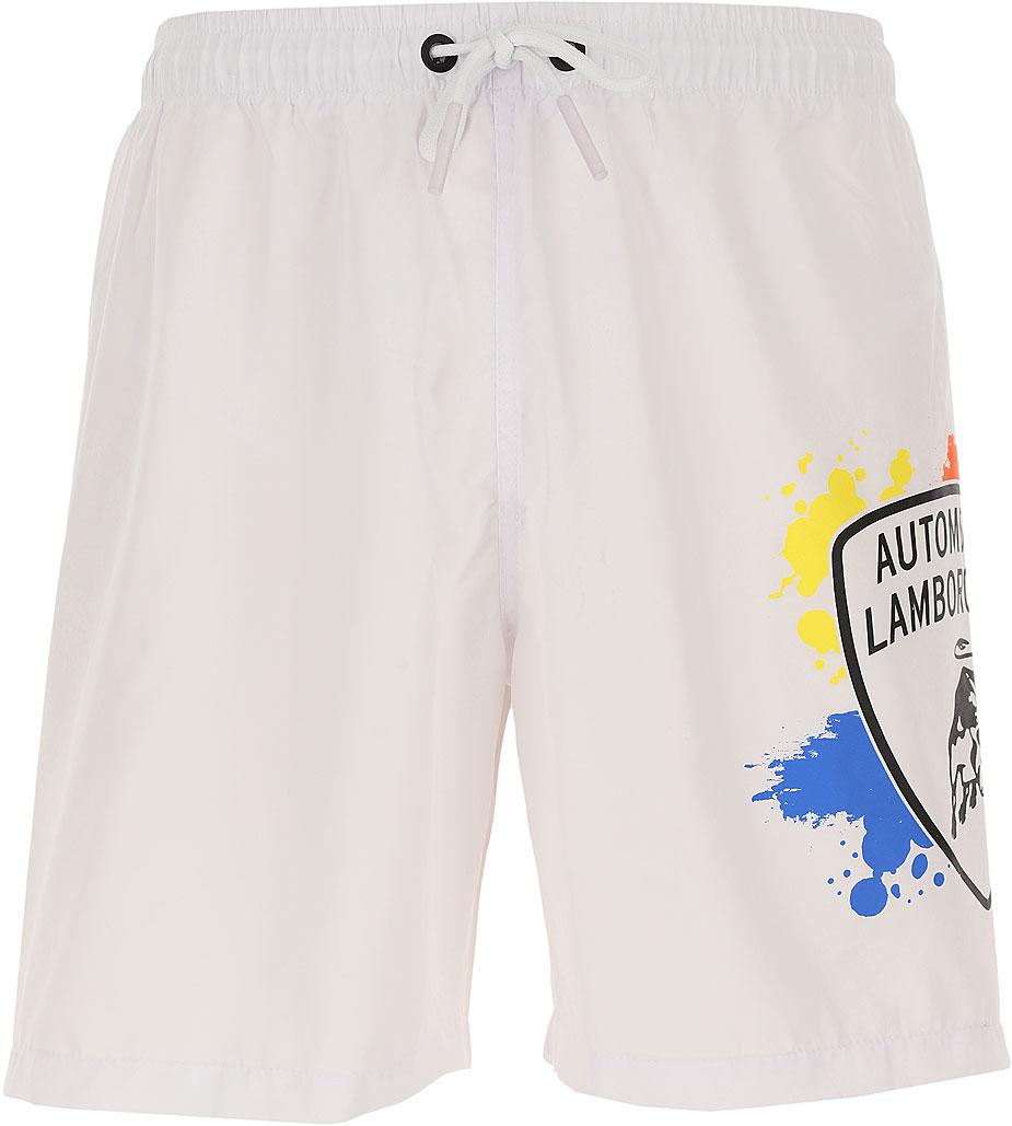 Short mare stains, Automobili Lamborghini coat of arms