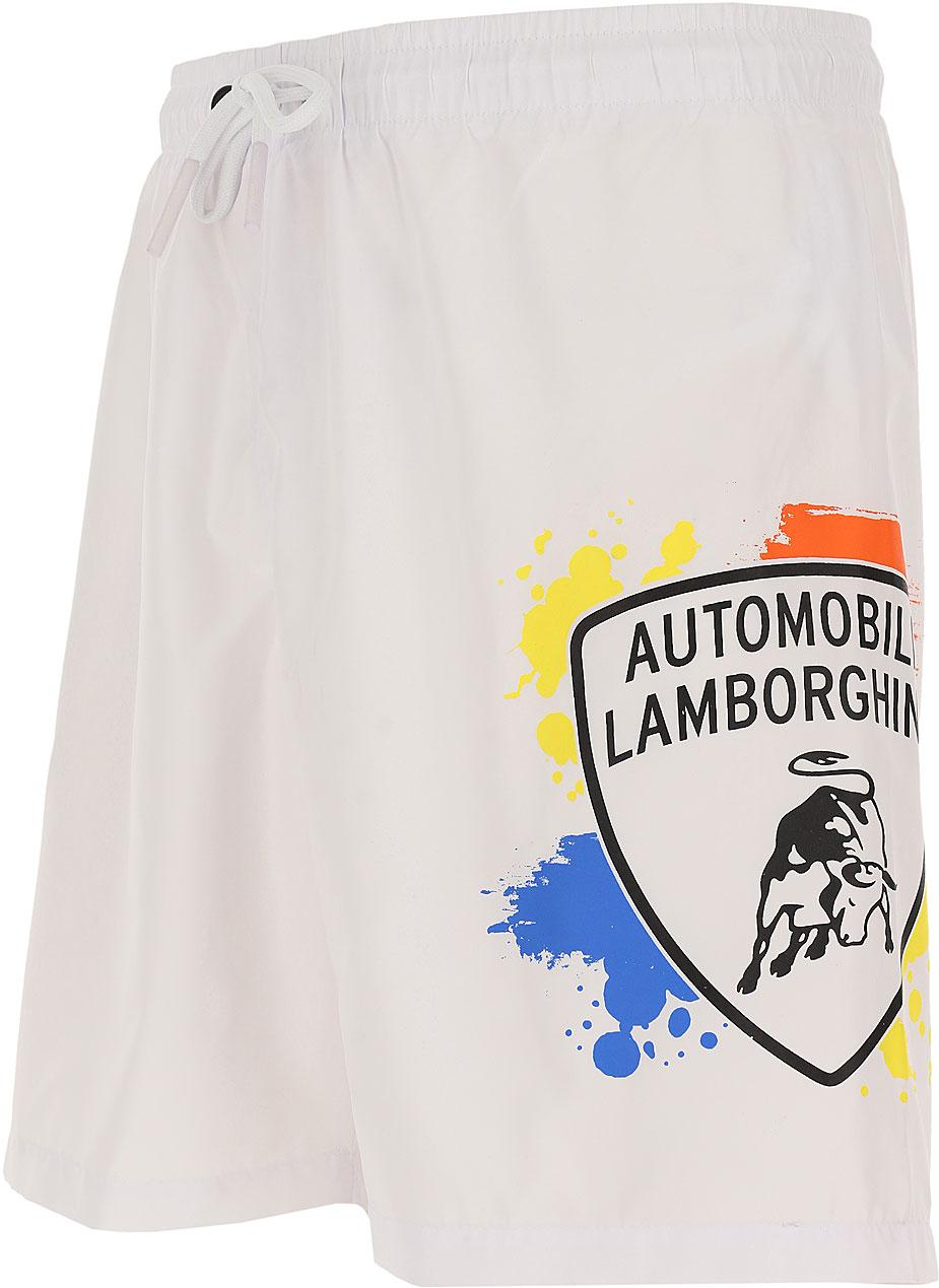 Short mare stains, Automobili Lamborghini coat of arms